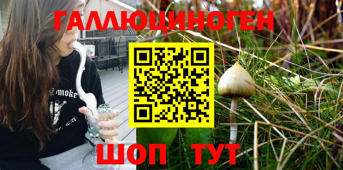 магазин  наркотиков  Вход с VPN  Долгопрудный  Псилоцибиновые грибы Cubensis  Псилоцибиновые грибы мухоморы 