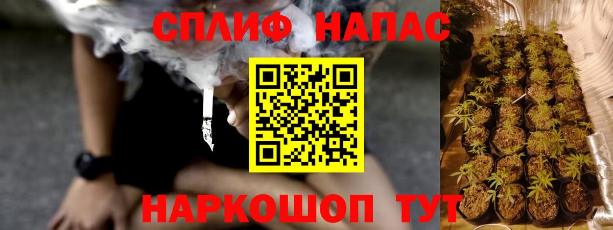 Бошки Шишки тримм Долгопрудный